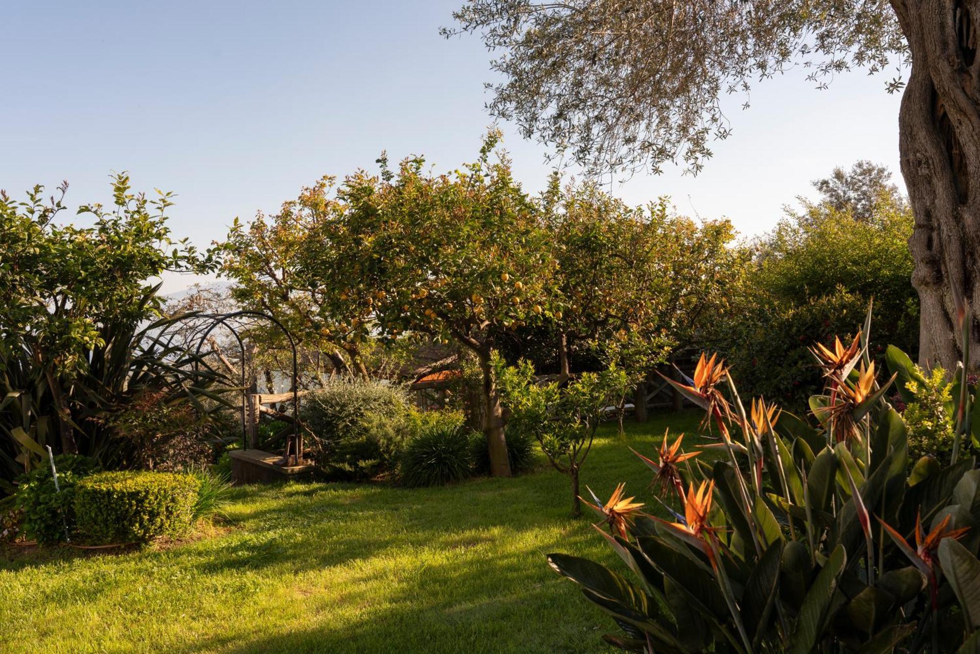 Отель Relais Palazzo Del Barone (Adults Only) Сорренто Экстерьер фото